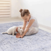 Area Rug 6x9, Washable Rug, Low-Pile, Non-Slip, Non-Shedding, Foldable, Kid & Pet Friendly - Area Rugs for living room, bedroom, kitchen